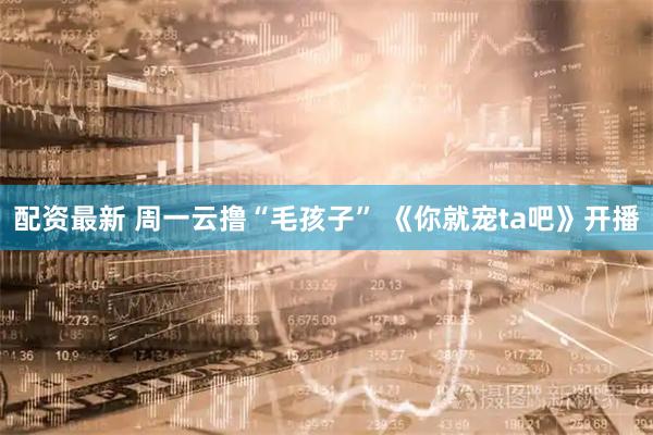 配资最新 周一云撸“毛孩子” 《你就宠ta吧》开播