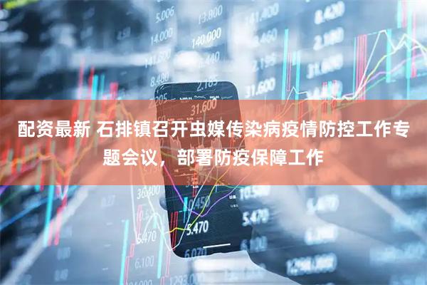 配资最新 石排镇召开虫媒传染病疫情防控工作专题会议，部署防疫保障工作